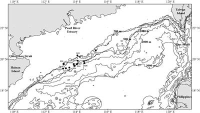 Diversity and Structure of Demersal Fish Community Over the Northern Slope in the South China Sea